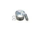 2502 286 PISTONE STANDARD MOTORE LOMBARDINI LDW502
