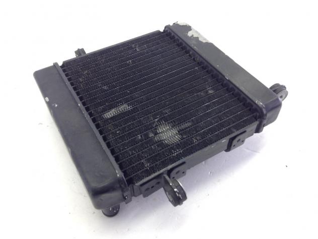 HONDA FORESIGHT 250 RADIATORE ACQUA LIQUIDO RAFFREDDAMENTO MOTORE 1998 2004 - Foto 6