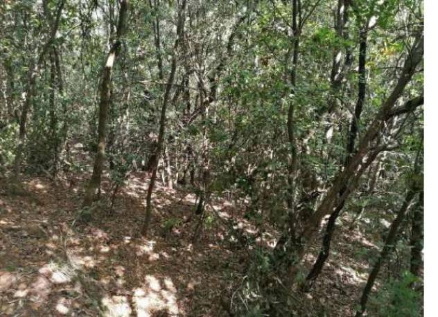 Immobile in asta di 326 m² in vendita a Castelbuono - Foto 5