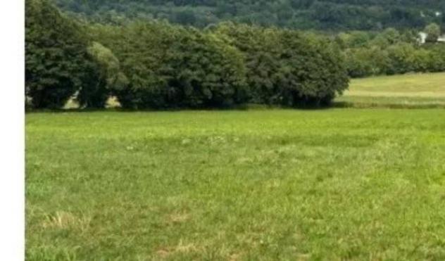 Immobile in asta di 3500 m² in vendita a Castelgomberto - Foto 2