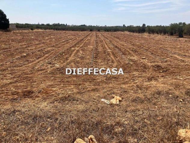V2499 - In vendita a Trapani terreno agricolo - Foto 3