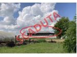 Immobile in asta di 1 m² in vendita a Villastellone