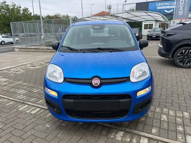 FIAT Panda 1.0 FireFly 70cv S&S Hybrid Pandina Icon - Foto 2