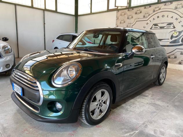 Mini 1.5 One D