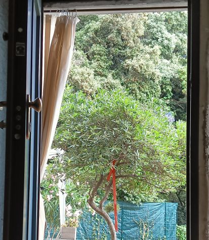 CERCASI appartamentino o casa semi o indipendente 50/60 mq