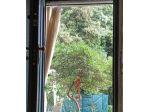 CERCASI appartamentino o casa semi o indipendente 50/60 mq