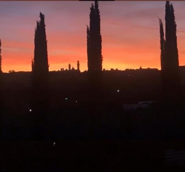Trilocale in affitto a Siena - Foto 18