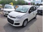 FIAT Panda 1.0 FireFly 70cv S&S Hybrid Pandina