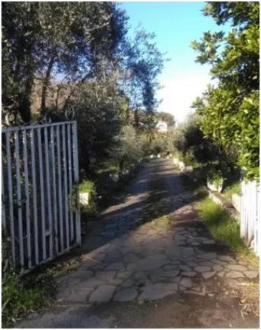 Immobile in asta di 162 m² con più di 5 locali in vendita a Monte Argentario - Foto 7