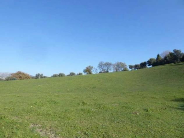Immobile in asta di 6430 m² in vendita a Casignana - Foto 3