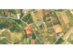 TERRENO FRUTTETO - STRADA PROVINCIALE FALCIANO-MONDRAGONE - rif. V3091