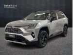 Toyota RAV4 V 2.5 vvt-ie h Black Edition awd-i 222cv e-cvt