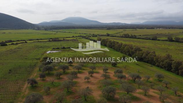 Terreno edificabile in vendita a Alghero - Foto 9