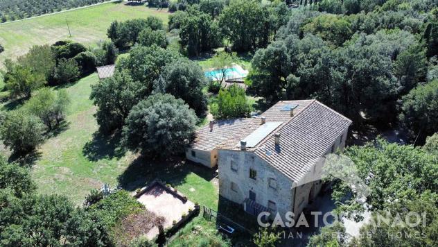 Vendita Rustico casale da 448 mq con giardino - Foto 8