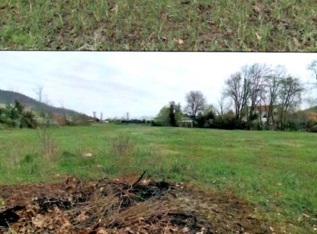 Immobile in asta di 18225 m² in vendita a Teolo - Foto 12