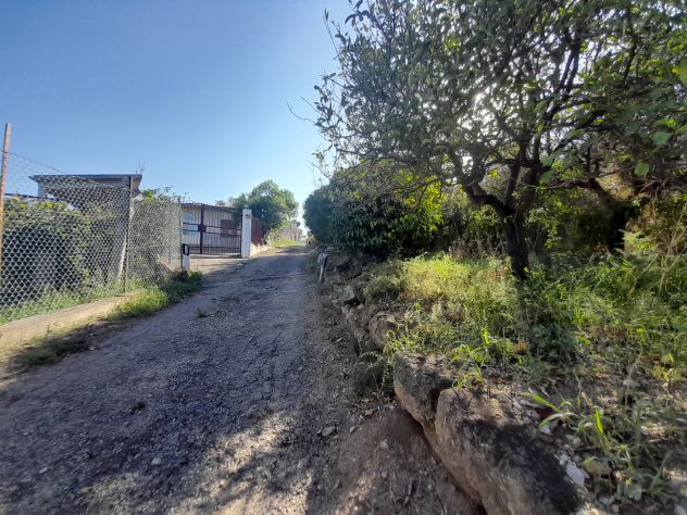 10 V041 Podere con rudere vista mare - Un'Occasione Imperdibile! - Foto 6