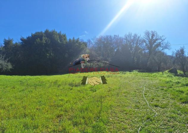 Orvieto - Casaletto con terreno nelle immediate vicinanze di Orvieto - Foto 4