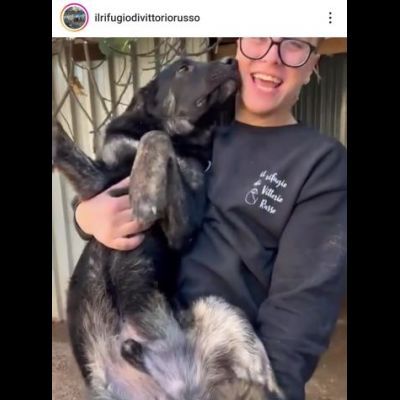 TRONKY UN GIOIOSO COCCOLONE: CANE IN ADOZIONE 1 ANNO - Foto 2