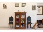 Appartamento in vendita a Massa 280 mq  Rif: 1253465