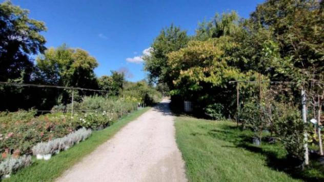 Immobile in asta di 4002 m² in vendita a Colli al Metauro - Foto 16