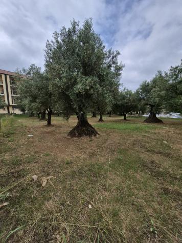 Terreno edificabile in vendita a Lamezia Terme - Foto 3