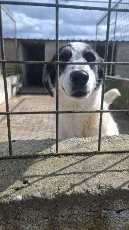 GIANNA E’ RIMASTA SOLA - Foto 6