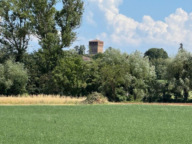 Casale indipendente con terreno, vista Castello a Montechiarugolo - Foto 3