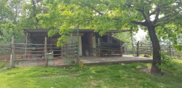 Immobile in asta di 87 m² in vendita a Sorano - Foto 3