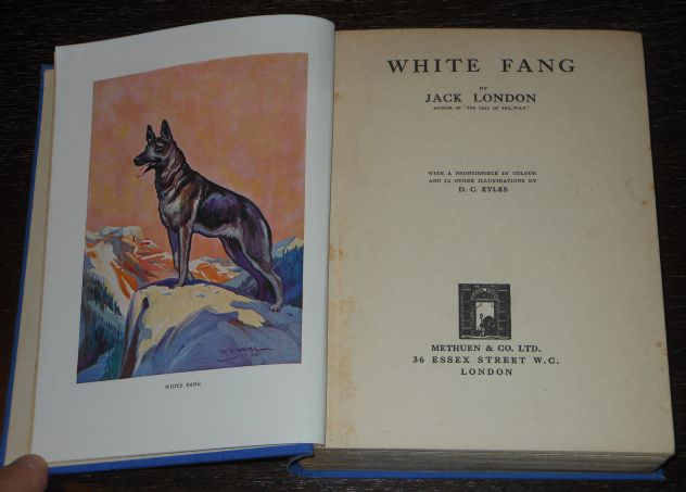 WHITE FANG (ZANNA BIANCA), JACK LONDON, METHUEN & CO. LTD. London 1928. - Foto 4
