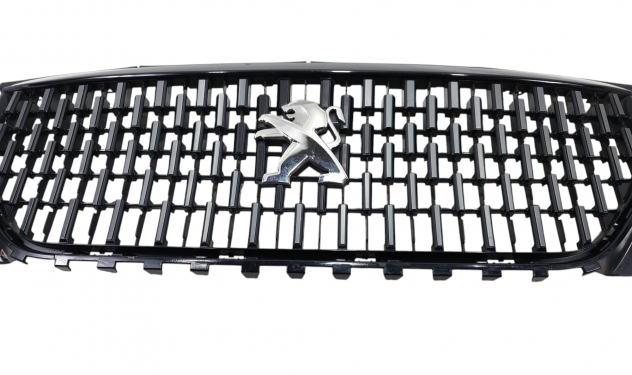MASCHERINA ANTERIORE PEUGEOT 2008 Serie 9825860780 (19) - Foto 6