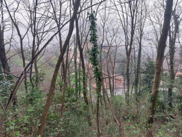 Immobile in asta di 3837 m² in vendita a Bergamo - Foto 10