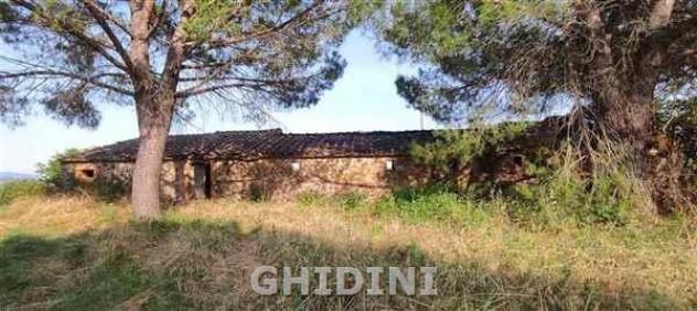 CASALE di 20 vani e di 750 mq (CINIGIANO - S. RITA) rif. 2432.102P - Foto 7