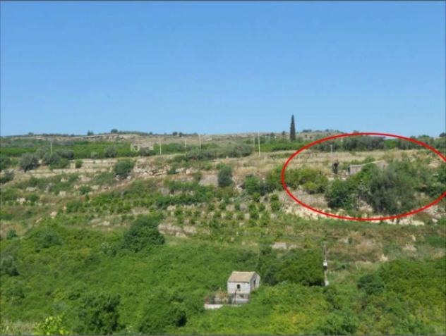 Immobile in asta di 42847 m² in vendita a Militello in Val di Catania - Foto 5