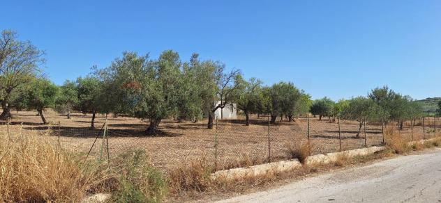 Terreno in vendita a Noto - Foto 6