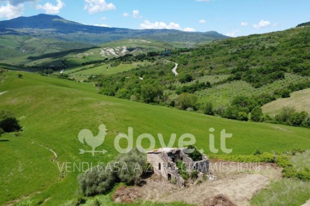 Rustico / Casale di 2300 m² con più di 5 locali in vendita a Pienza - Foto 2