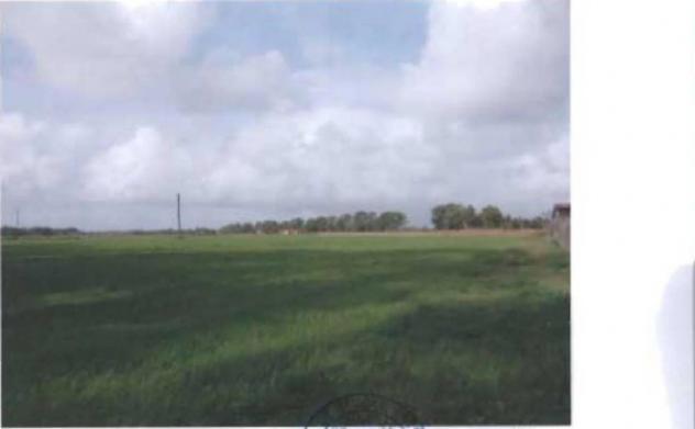 Immobile in asta di 88446 m² in vendita a Terracina - Foto 12