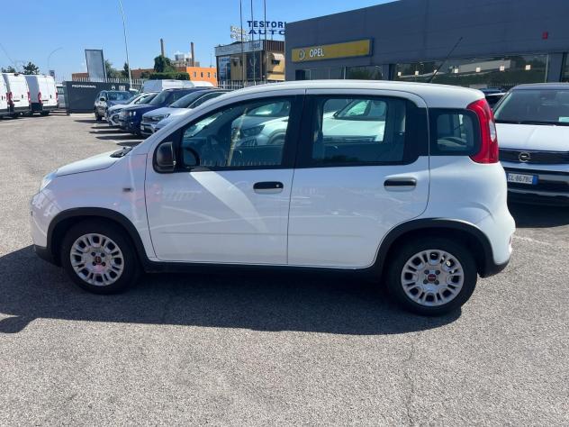 FIAT Panda 1.0 FireFly 70cv S&S Hybrid - Foto 6