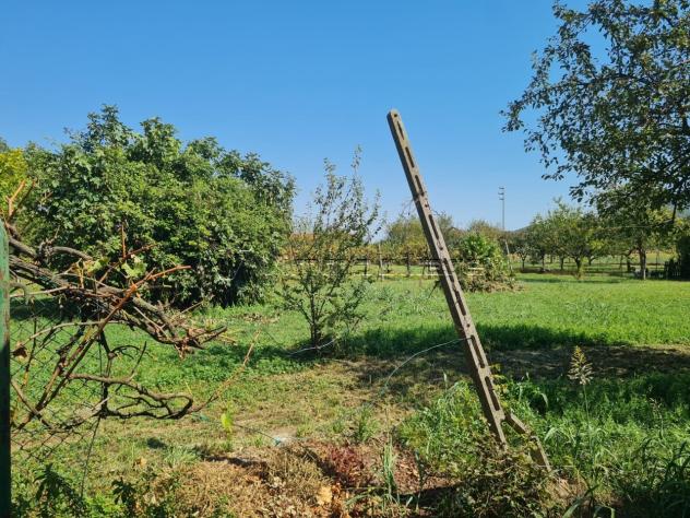 Rustico in vendita a Agugliaro - Foto 10