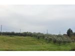 Terreno agricolo in vendita a Lamporecchio 3220 mq  Rif: 1232207