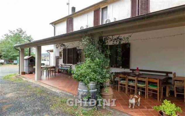 COLONICA di 8 vani e di 200 mq (MAGLIANO IN TOSCANA - POGGIO LA MOZZA) rif. 1017.163M