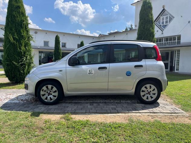 FIAT Panda 1.2 69cv Easy - Foto 8