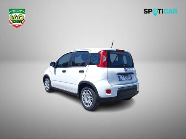 FIAT Panda 1.0 FireFly S&S Hybrid rif. 23820569 - Foto 7