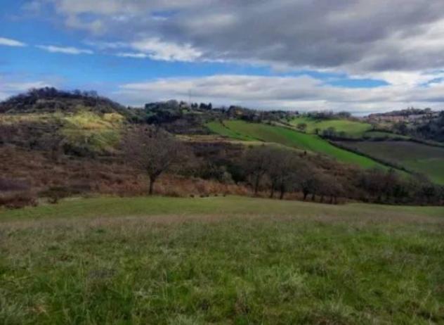 Immobile in asta di 70754 m² in vendita a Terre Roveresche - Foto 2