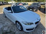 BMW - Serie 2 Cabrio - 220d Cabrio Sport - FINANZIABILE - PERMUTE