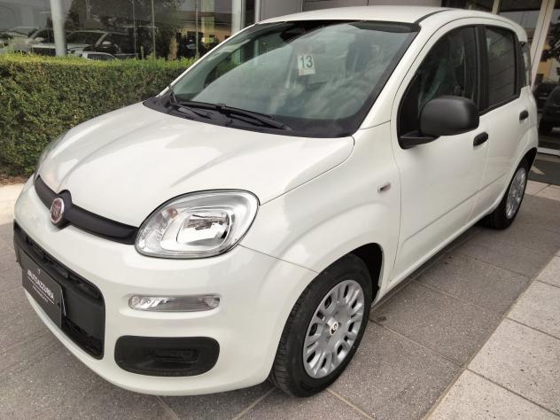 FIAT Pandina Pandina 1.0 FireFly Hybrid Icon S&S 65cv *PROMO AZZURRA*