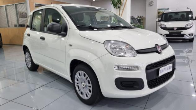 FIAT Panda 1.0 Hybrid KIT 5 POSTI rif. 23984210 - Foto 2