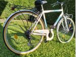 Bici da città