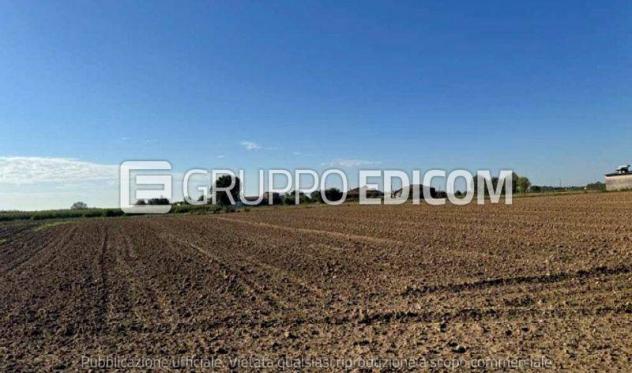 Terreno di 28834 mq in vendita a Roverchiara - Rif. 4548745 - Foto 2