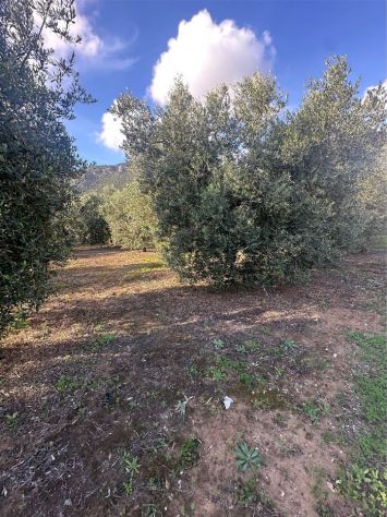 Terreno angolare fronte strada - Foto 7