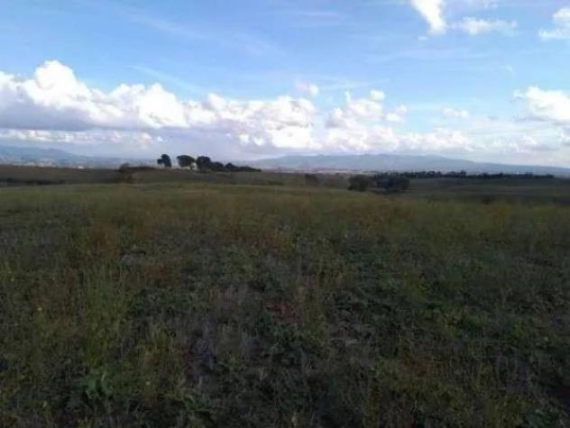 Immobile in asta di 281311 m² in vendita a Guidonia Montecelio - Foto 9